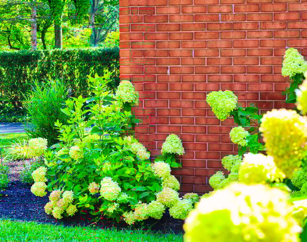 Images Oakwood Lawn & Landscaping
