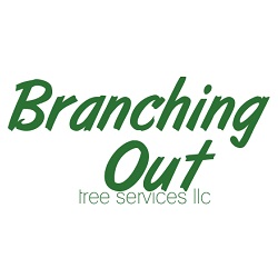 Branching Out Tree Services Logo
