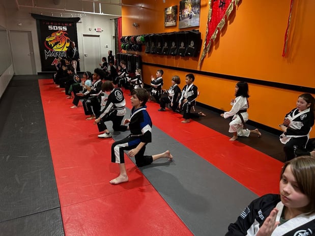 Images SDSS Martial Arts of Greenwich
