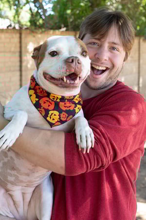 Images VCA Angel Animal Hospital