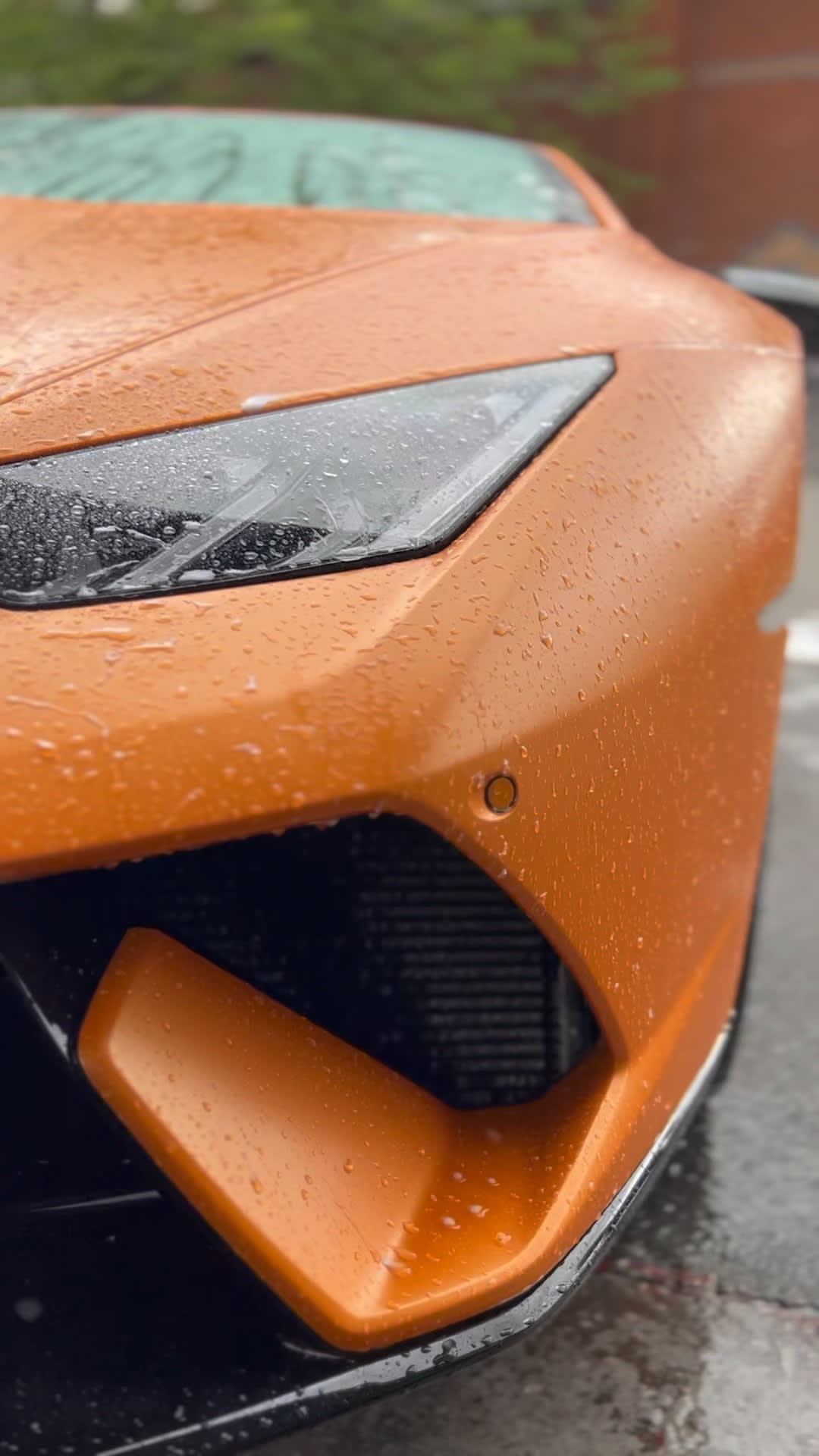 Images Proshine Detailing Ltd