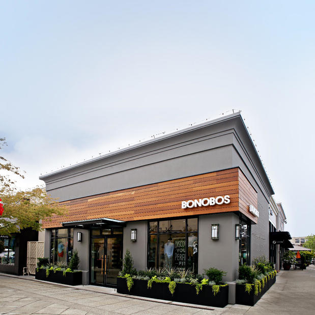 Images Bonobos