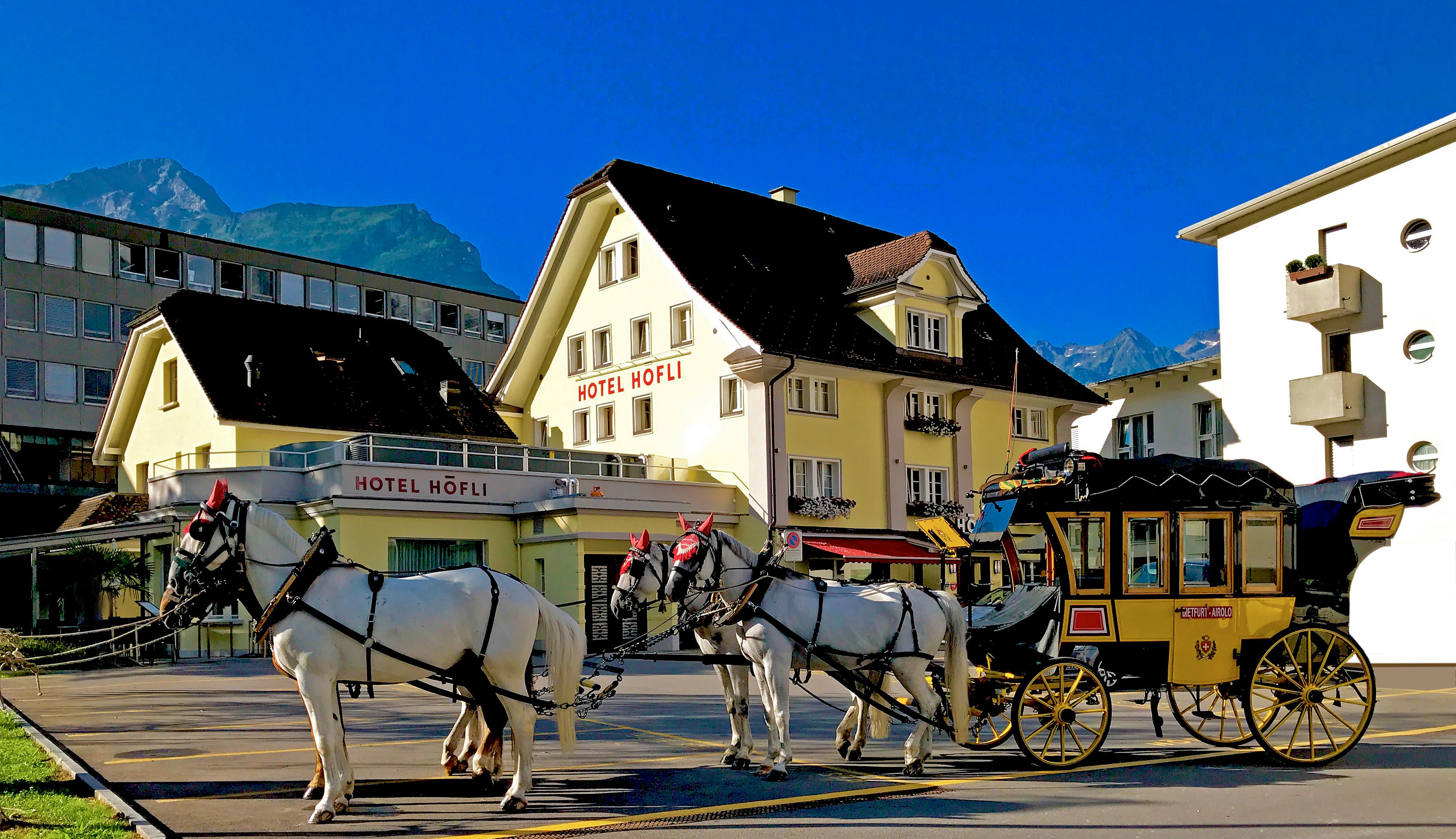 Bilder Höfli