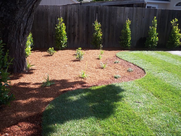 Images JC Tree Care & Landscape