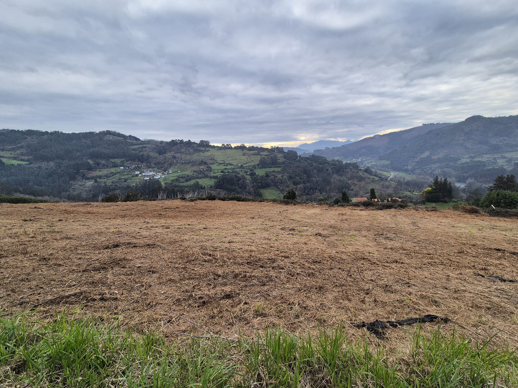 Images Elorza Inmobiliaria