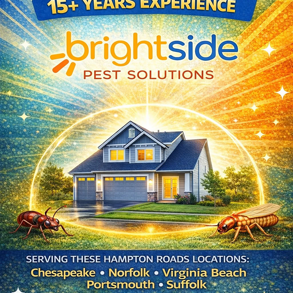 Introducing BrightSide Pest Solutions