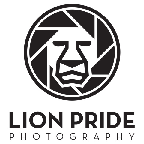 Lion Pride Photography