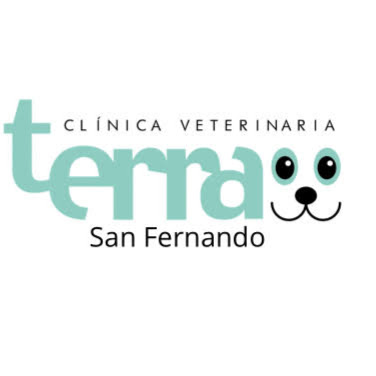 Clinica veterinaria Terra Vila-real Vila-real