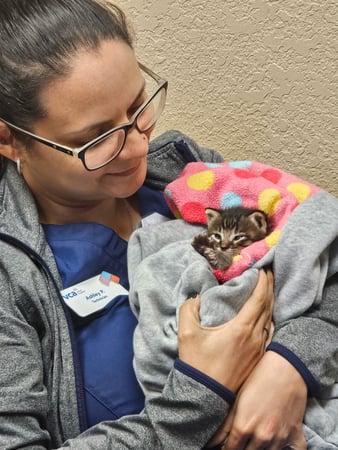 Images VCA Lake Jackson Animal Hospital