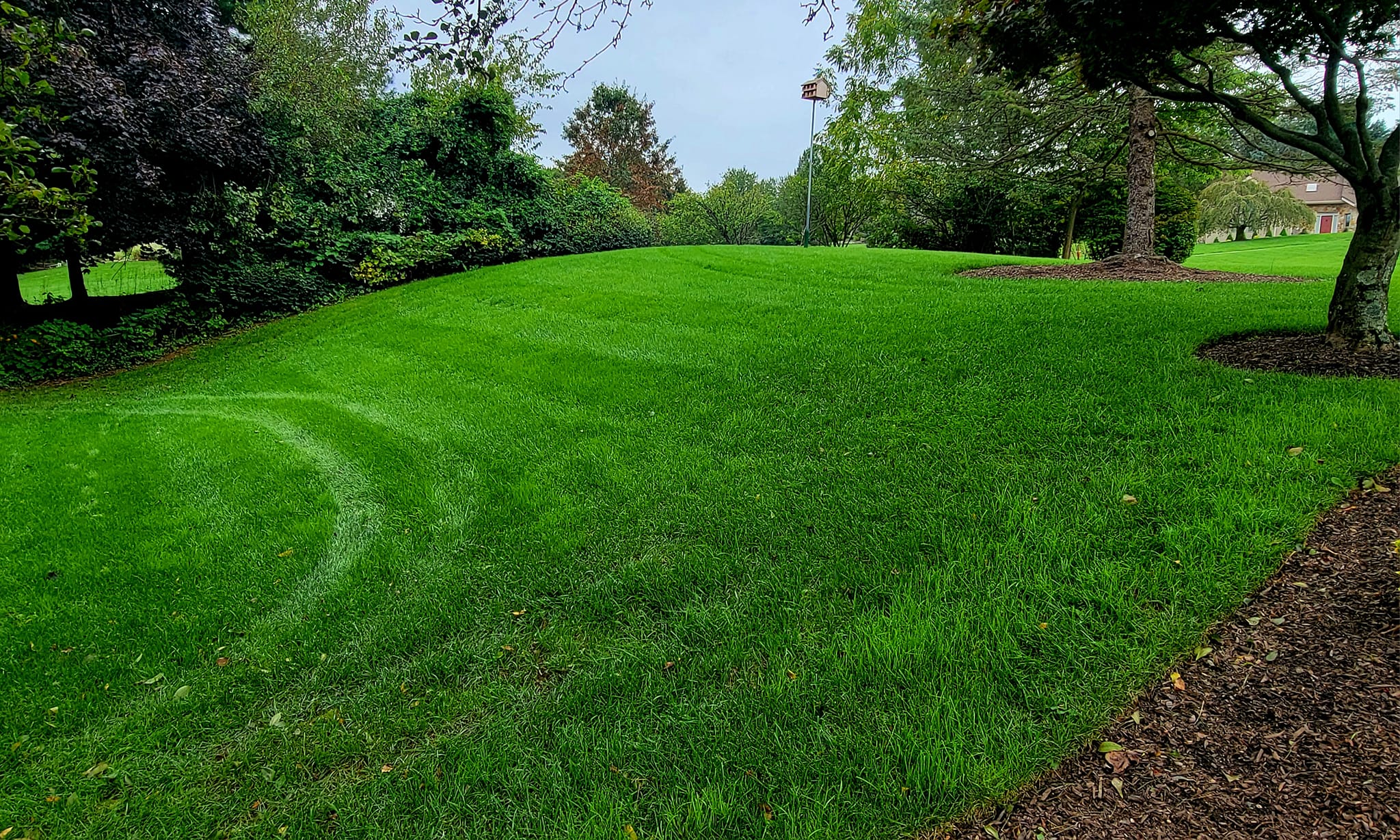 residential lawn care service for west chester pa residents