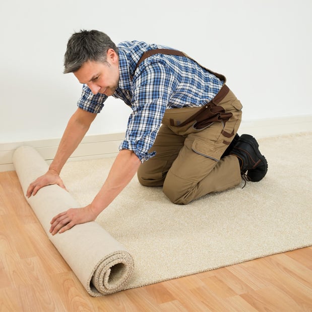 Images Leppo Carpet Cleaners Inc