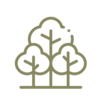 Thomas and Sons Tree &amp; Mulch Logo