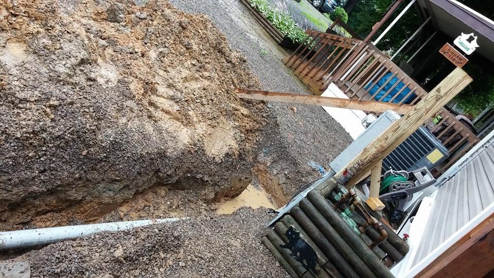 Webber's Electric Image