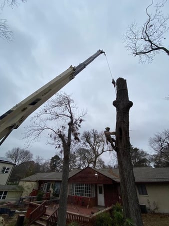 Images 3 Alarm Tree Rescue