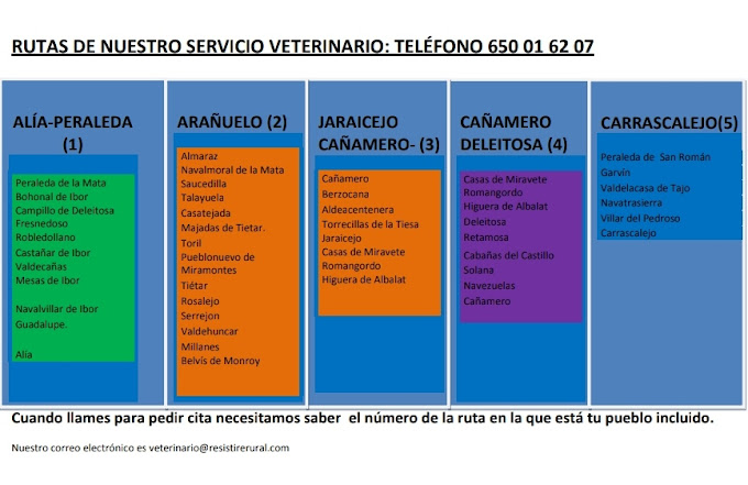 Images Veterinario A Domicilio
