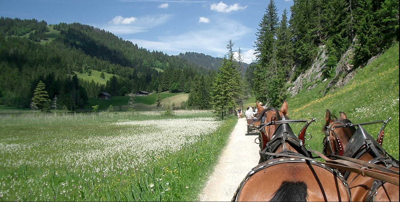 Kutscherei Reichenbach, Lauenenstrasse 56 in Lauenen b. Gstaad