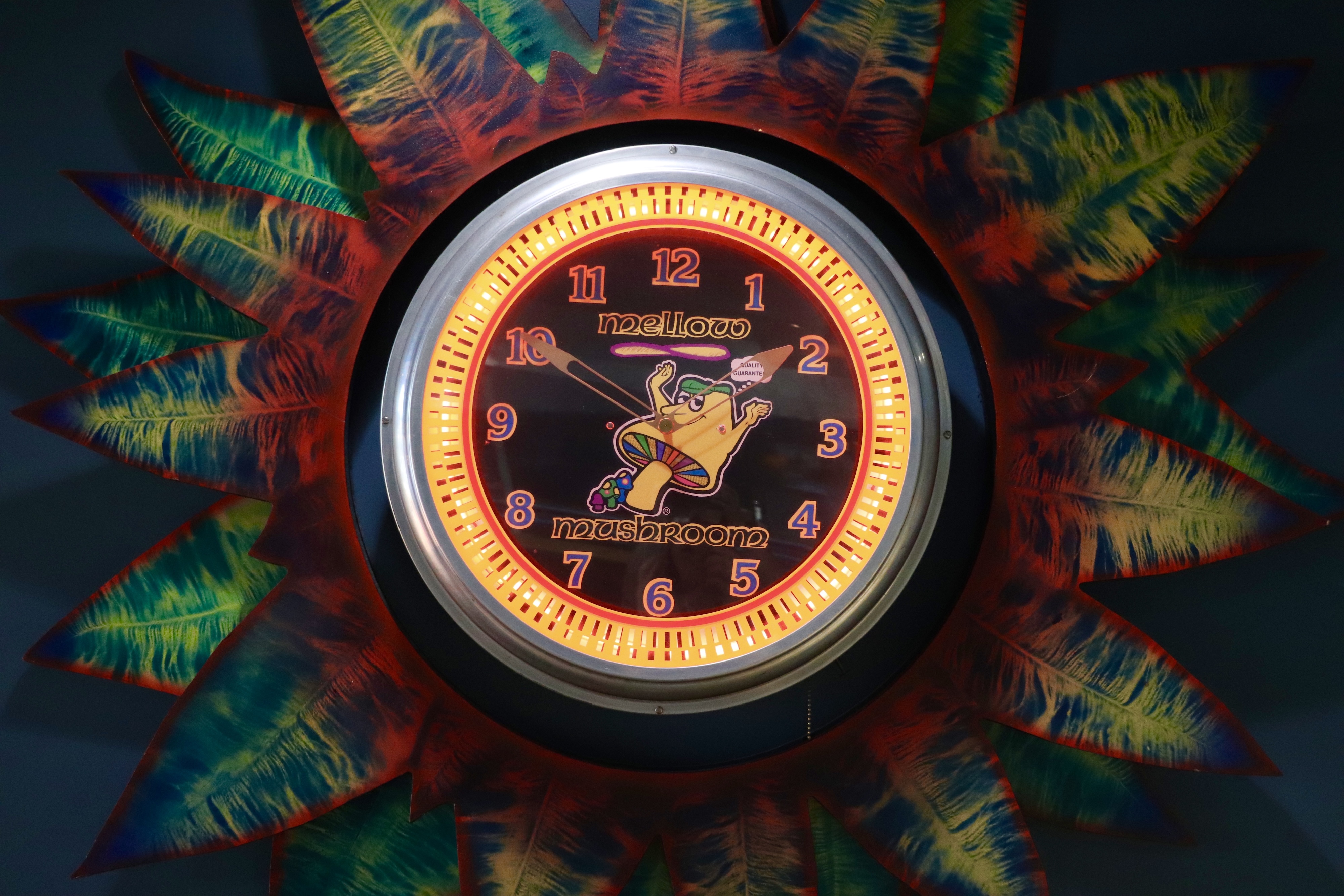 Mellow Mushroom Acworth Image