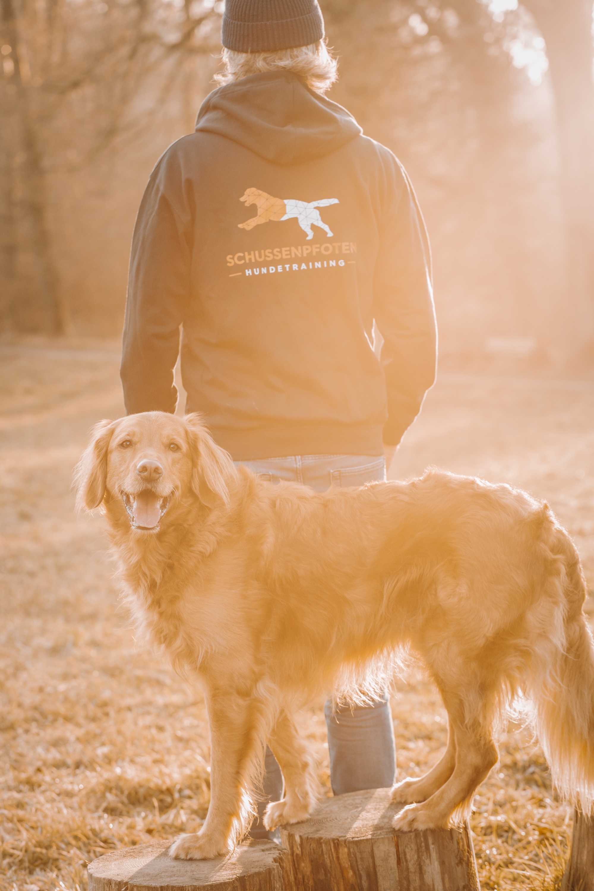 Bild 10 Hundeschule Schussenpfoten in Ravensburg