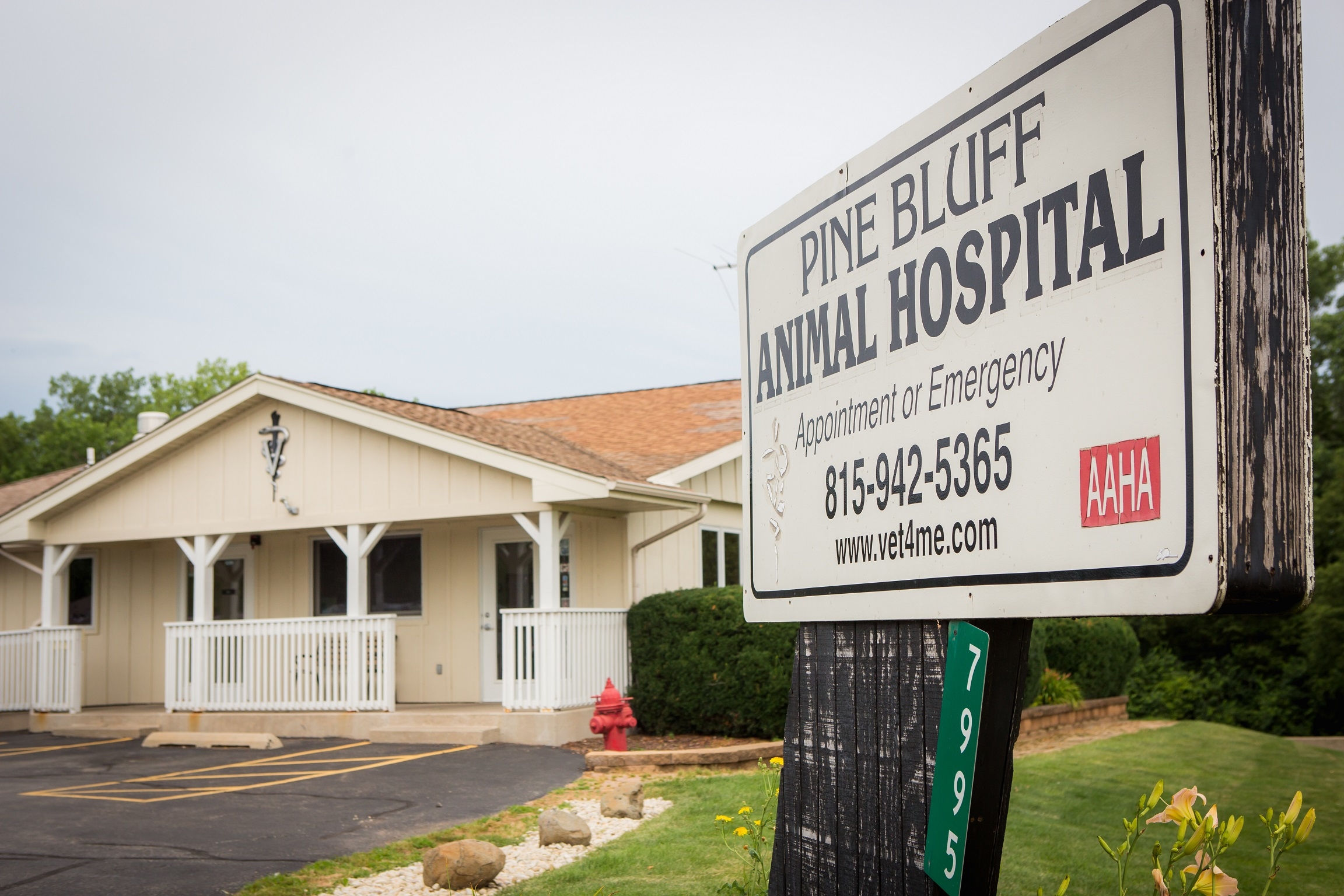 Pine Bluff Animal Hospital is an AAHA-Accredited Animal Hospital, the highest distinction in veterinary medicine.