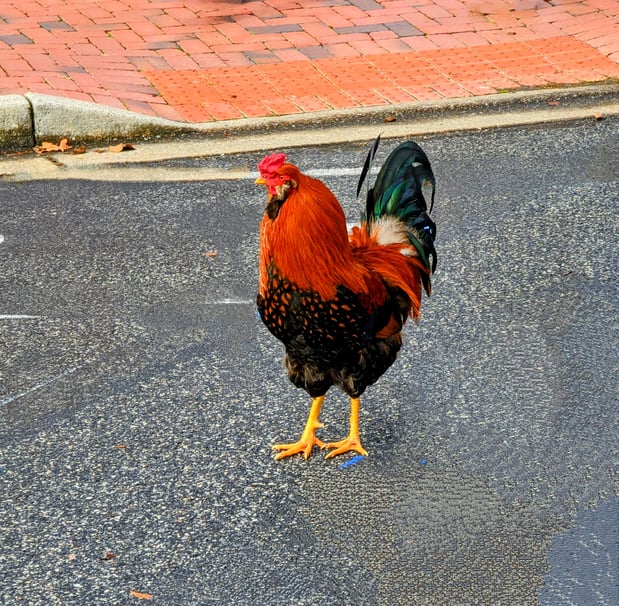 Images Appalachian Realty, LLC