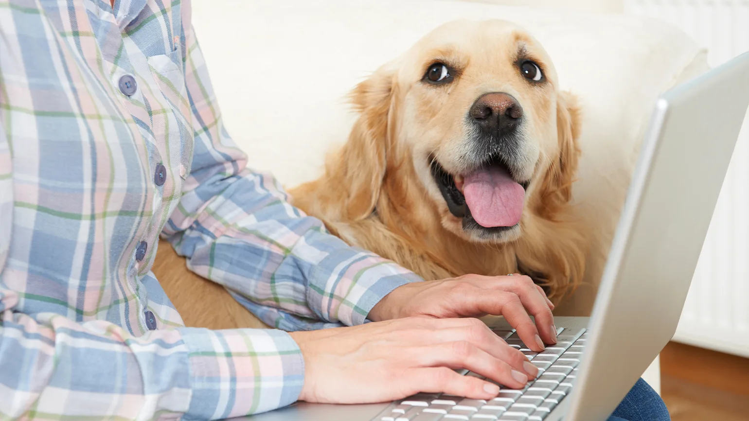 Vetco Vaccination Clinic