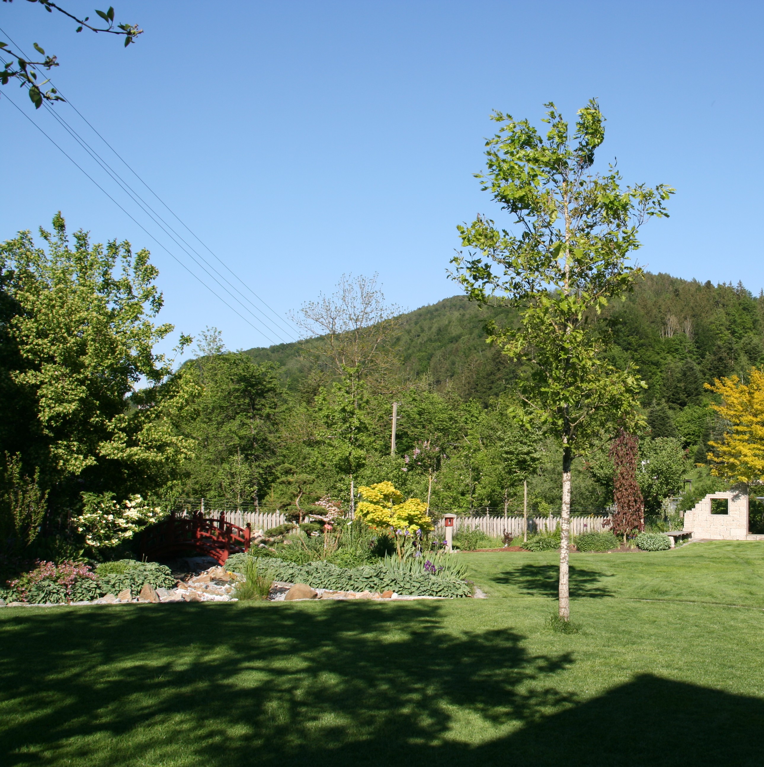 Bild 64 von Grün-Zone