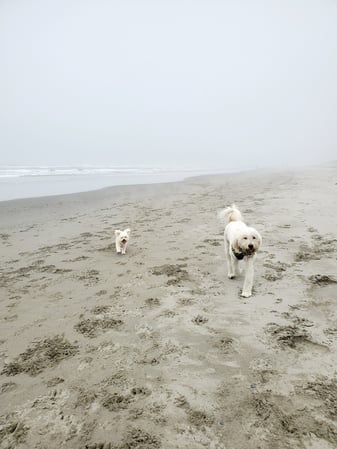 Images Kao Xiong - State Farm Insurance Agent