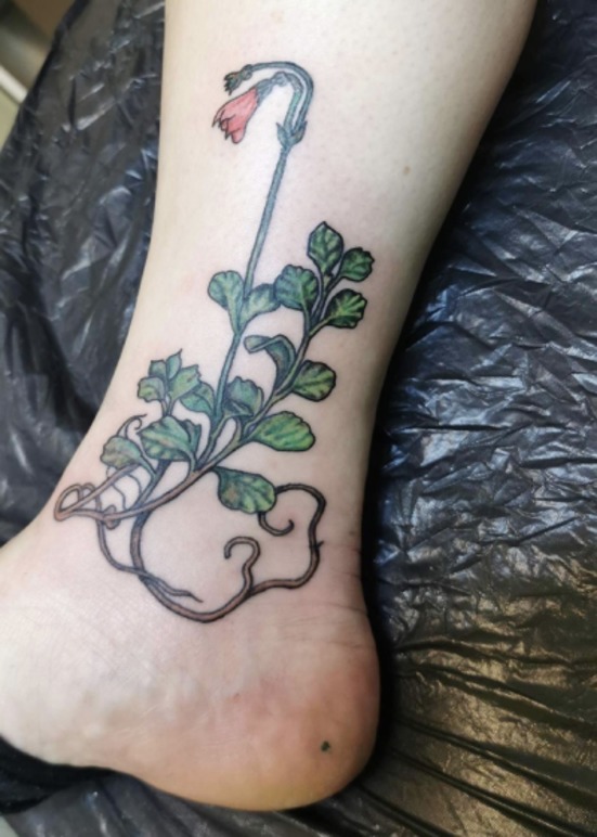 Images Ojeda-Fredholm Tatuering Gislaved