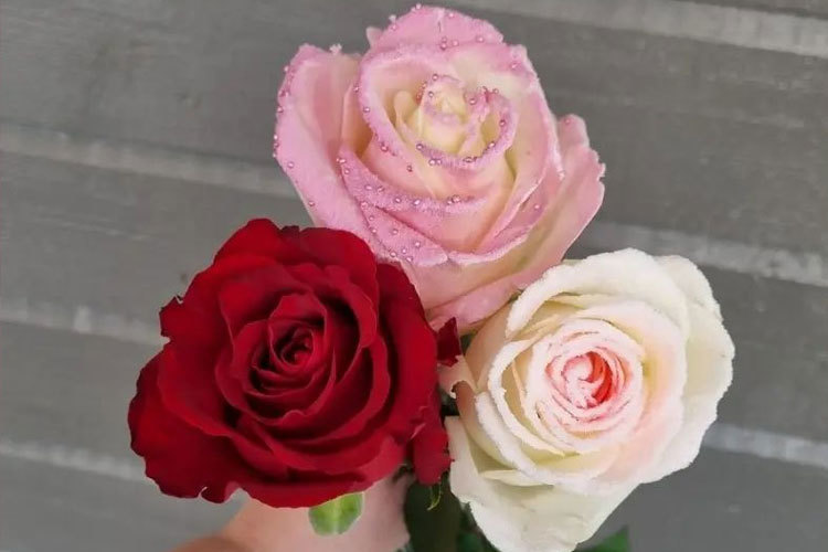 Images BLOMSTERBUA SELFORS AS