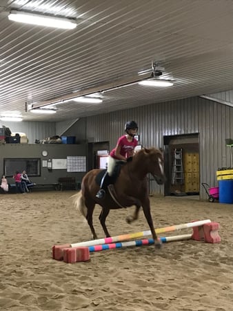 Images Pine Ridge Riding Center LLC