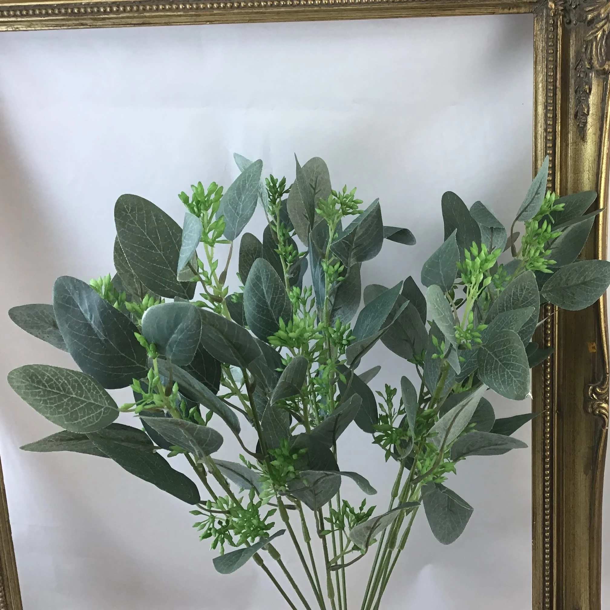 Images Village Green Wholesale Ltd