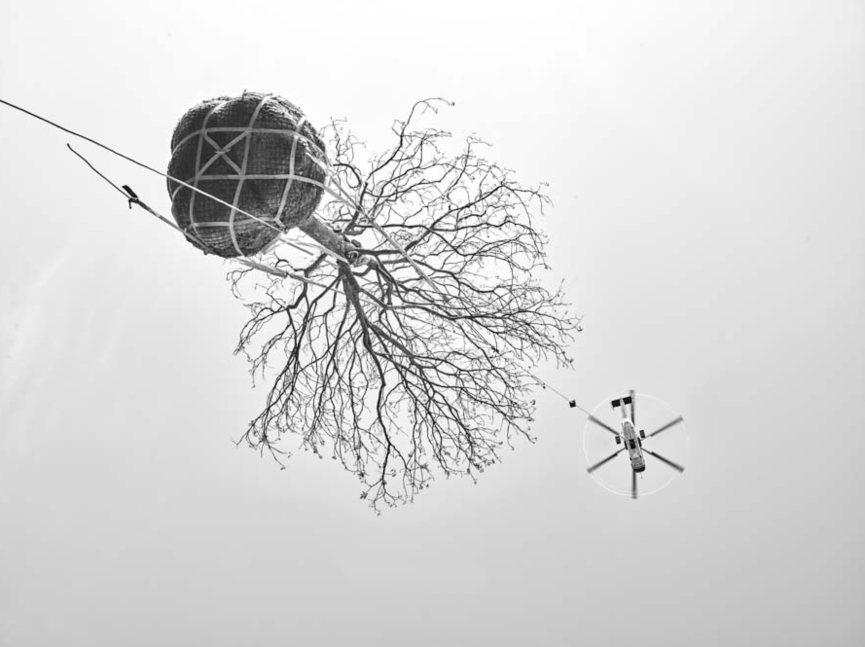 Select Garten GmbH, Im Chapf 11 in Erlenbach ZH