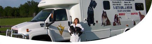 Images A Vet To Your Pet Mobile Hospital