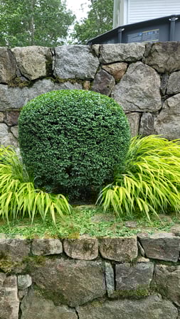 Images Dubons Landscaping LLC