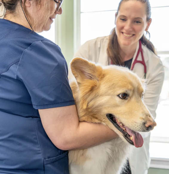 Images Oak Forest Veterinary Hospital