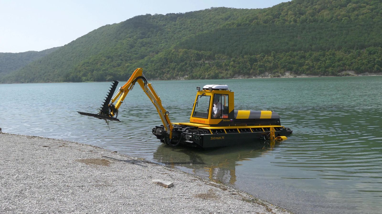 Lake Area Tree Removal & Services Image