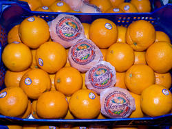 Images Frutas Jorrofi