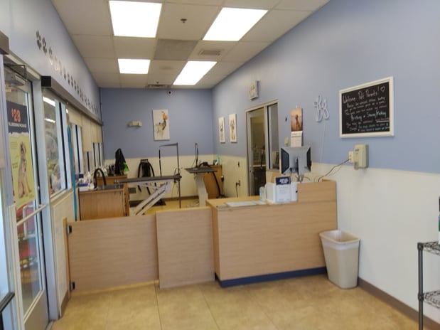 Images Petco Grooming