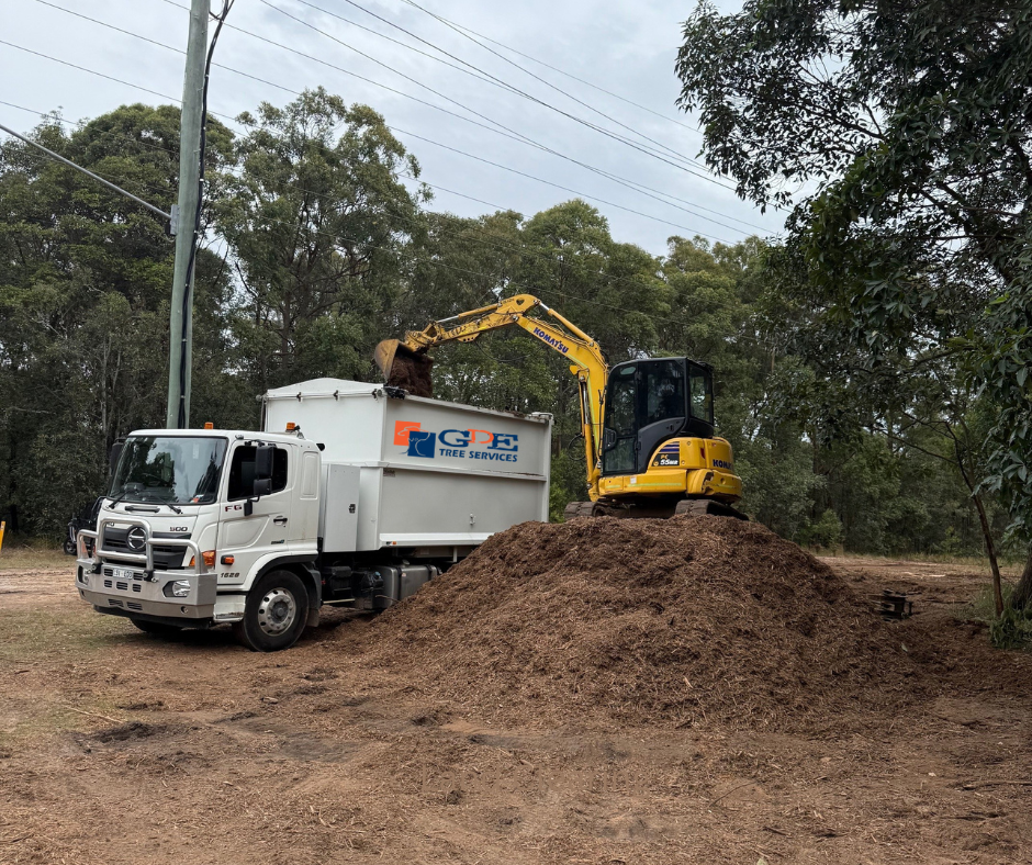 Images GDE Tree Services