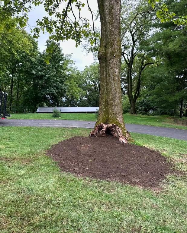 Images Friendly Tree Service Inc