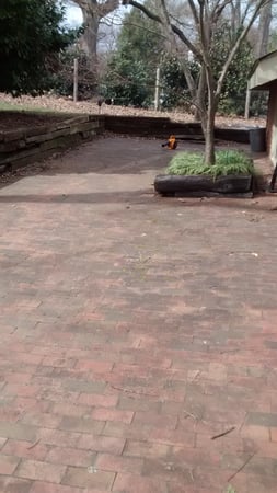 Images Window Hero Durham/Chapel Hill