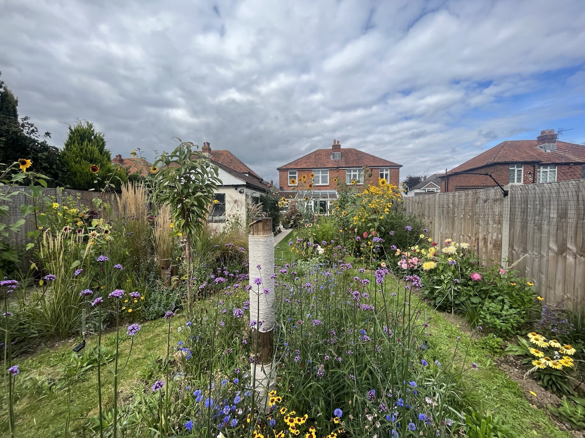 Images Steve Dean Gardening
