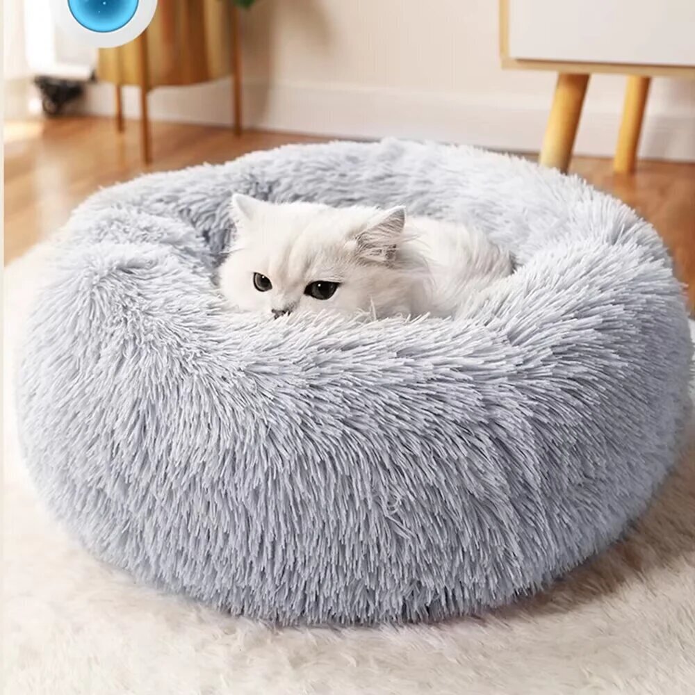 Images Furball All Things Cat Store