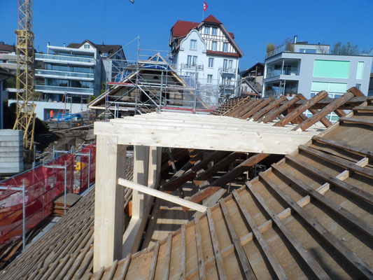 HOLZBAU PHILIPP UND WOLFGANG STALDER AG, Rigistrasse 96 in Weggis