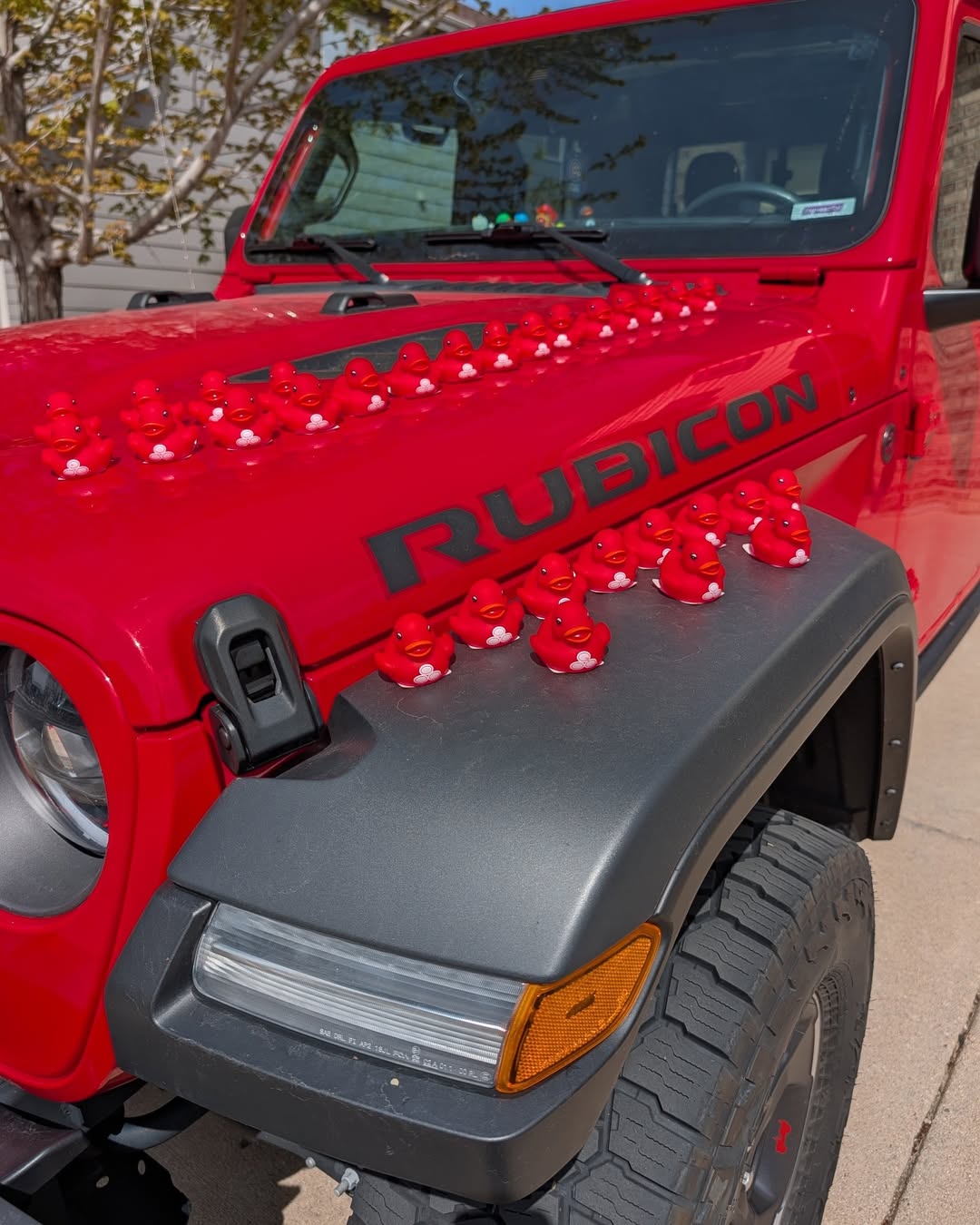 Duck season is here, and Joseph Magoffin State Farm is having fun connecting with the community in a bright, memorable, and playful way.