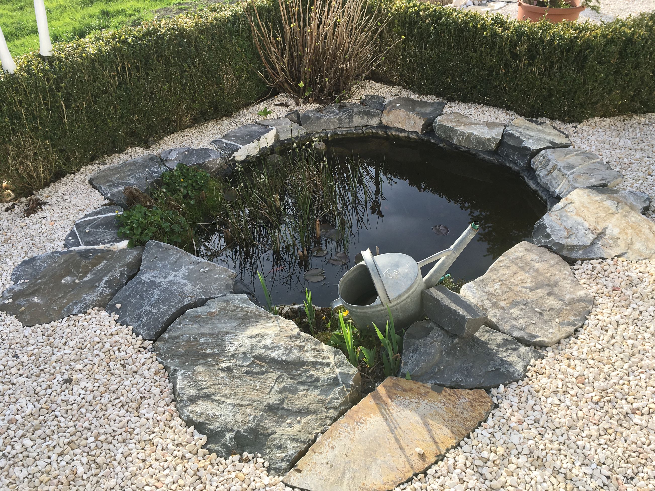 Bilder Gartenbau Reinhard AG