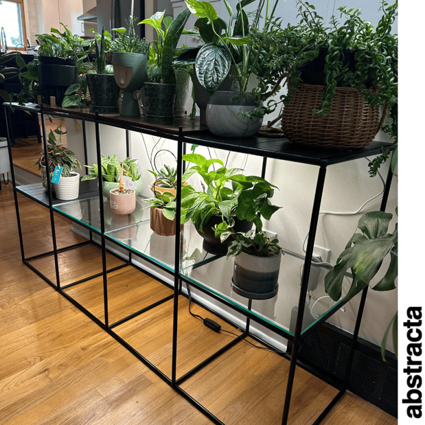 Images Consort Display Group