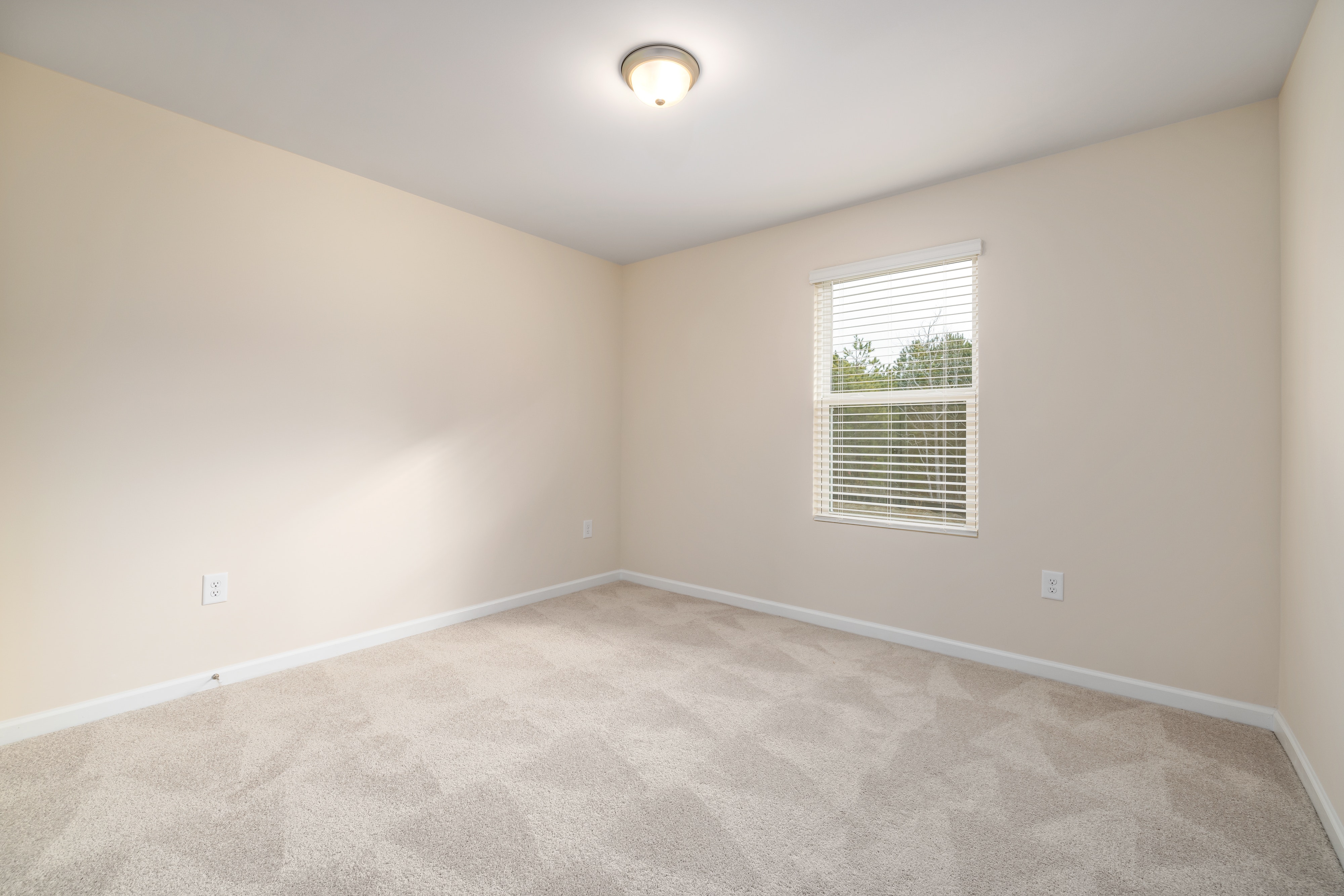 Room after carpet cleaning VA Beach