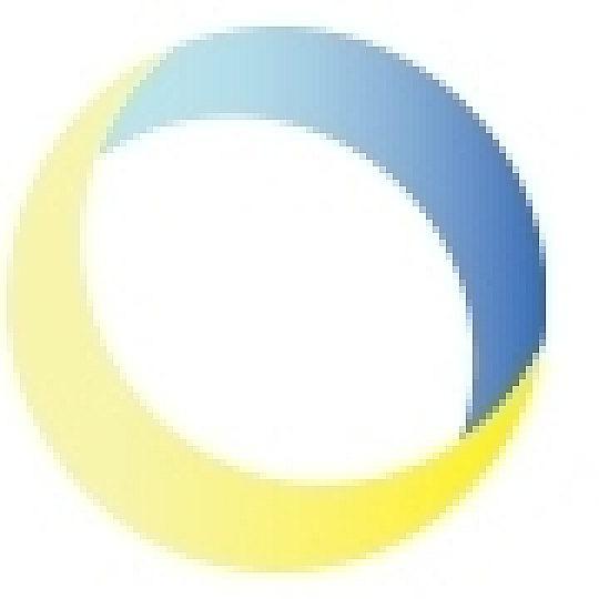 company logo