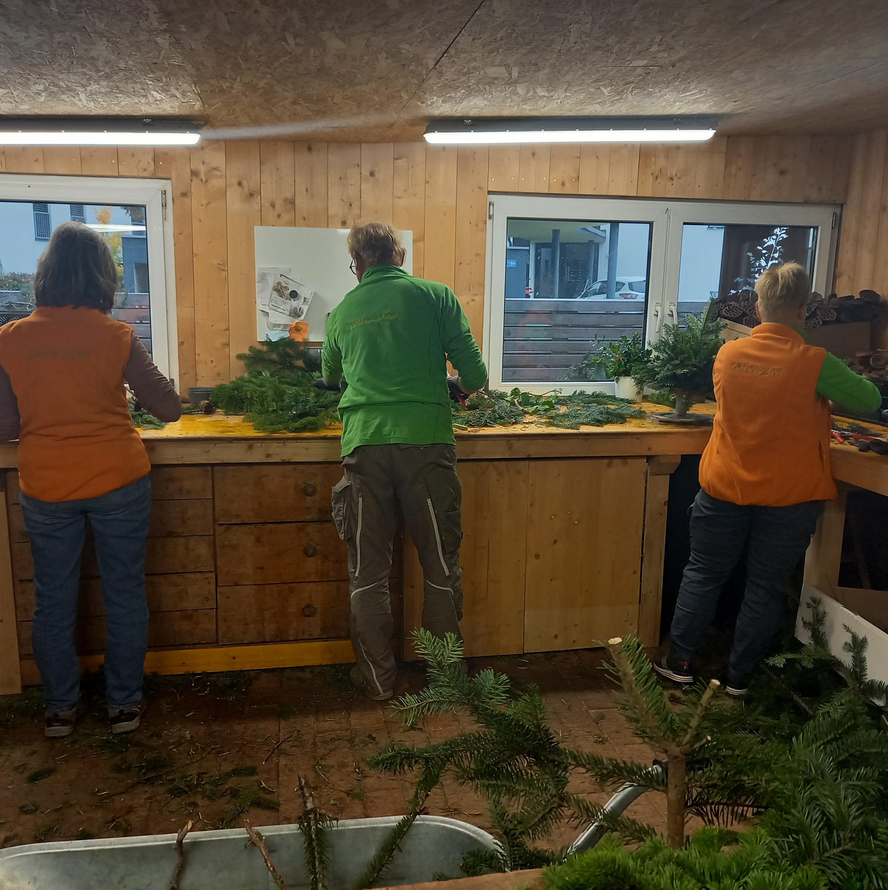 Bild 65 von Grün-Zone